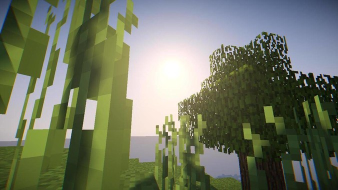 为什么五笔没人用了？