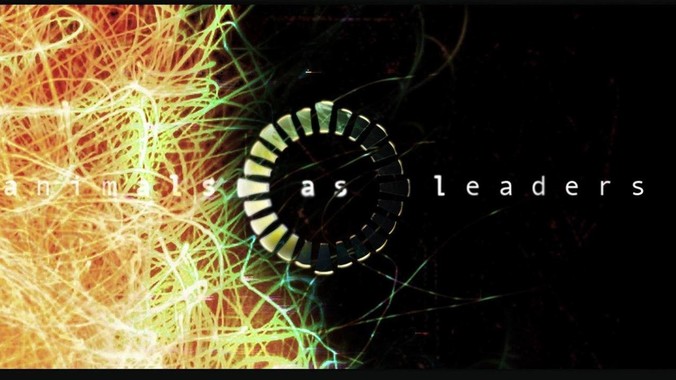 新手养鱼，鱼缸中能放入哪些水草？